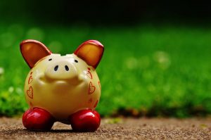 Tan piggy bank on a stone path with grass in the background